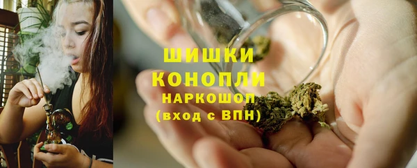 сатива Зеленодольск