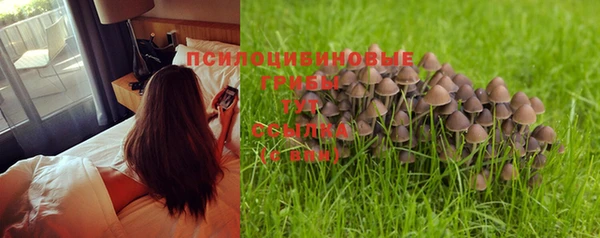 прущая мука Зерноград