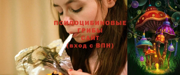 сатива Зеленодольск