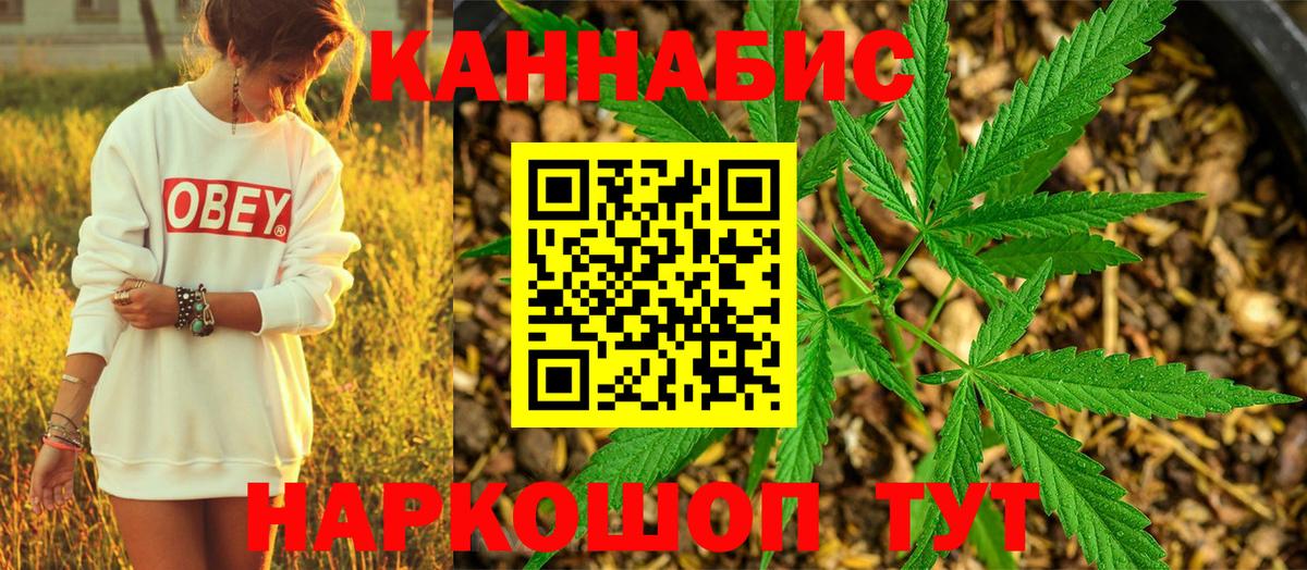 Бошки марихуана сатива Кимовск